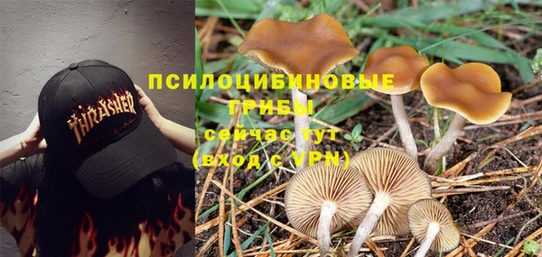 гидра Балахна