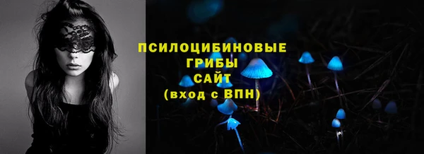 экстази Арсеньев