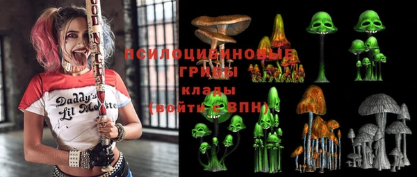 гидра Балахна