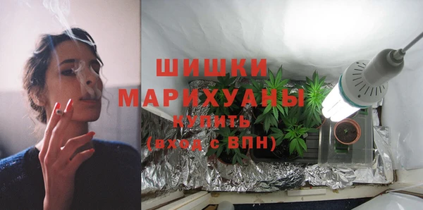 хмурый Аркадак